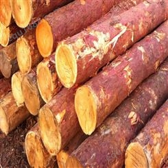 亿展木业 绿化支撑杉木桩 不断裂循环使用 防蛀防潮