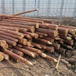 亿展木业 1-5米杉木杆 园林绿化支撑杆河道打桩木 杉木桩