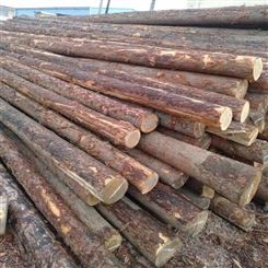 亿展木业 杉木杆厂家直卖 杉木桩原木 工程打桩木杆 园林绿化古建安装